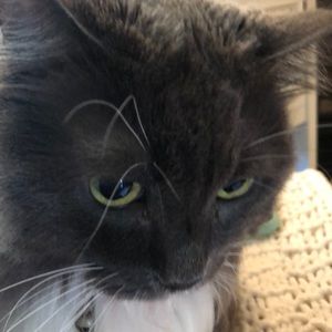 Meet your Posher, John